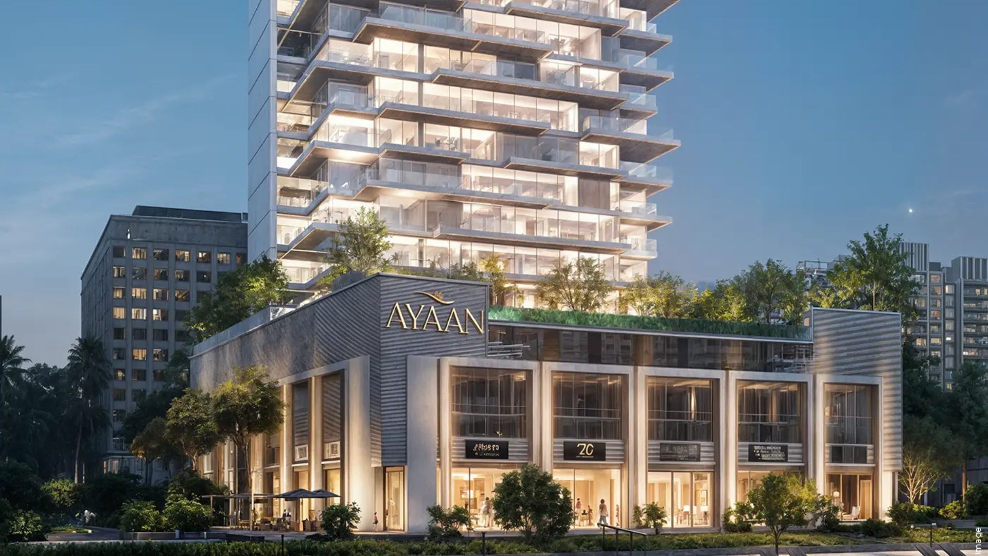 Project gallery image